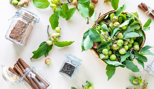 Descubre 14 protectores de estómago naturales