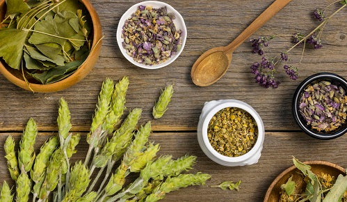 Las mejores plantas medicinales para mejorar el rendimiento mental