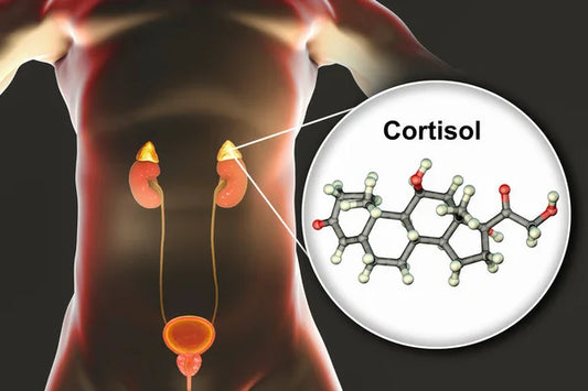 Cortisol Bajo en mujeres: Hiperplasia Suprarrenal Congénita