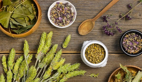 Las mejores plantas medicinales para mejorar el rendimiento mental